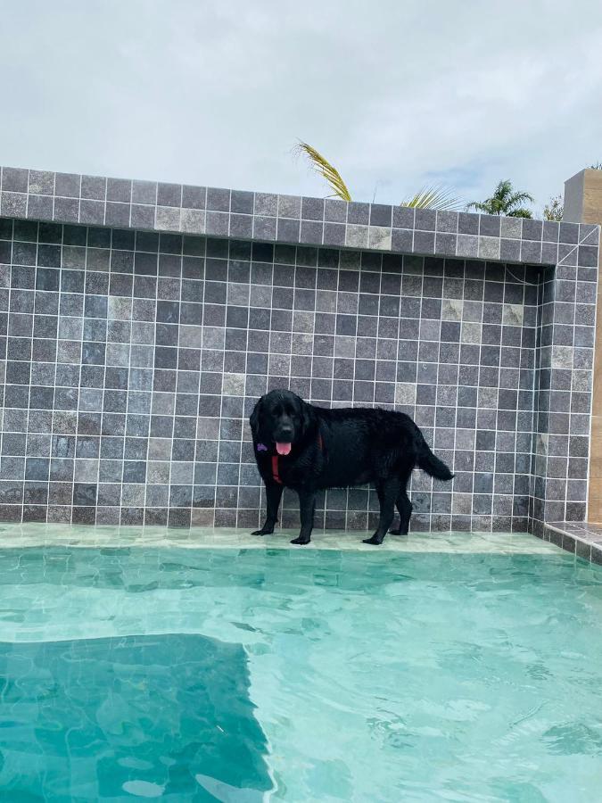 Casinhas Terõ - Chalé 01 com Piscina Sao Sebastiao  Exterior foto